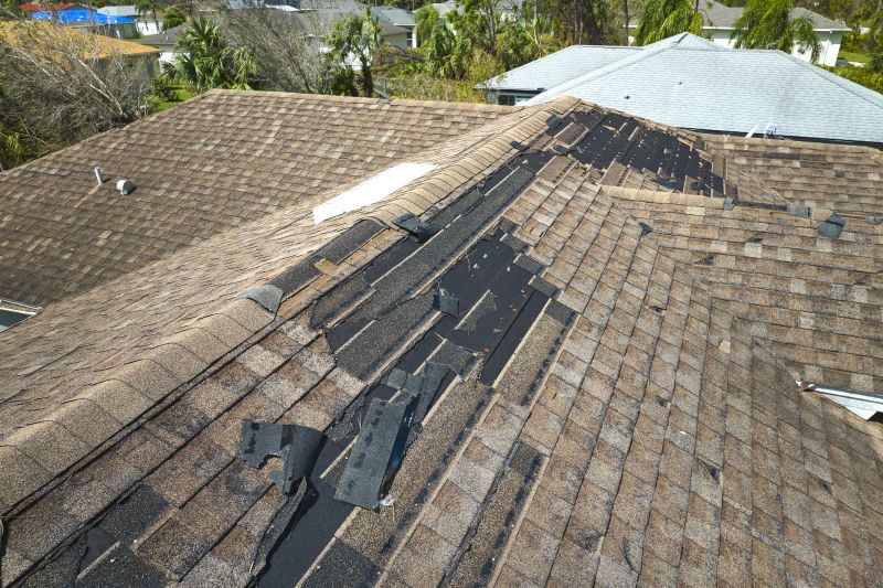 Weather Damage Restoration