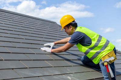 Professional Roofing Service